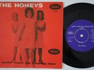 HONEYS Surfin Down The Swanee River SWEDEN DENMARK 45 Brian Wilson BEACH BOYS
