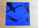 Muse  Absolution 2003  Promo Album Sampler Vinyl 12''
