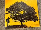 Jack Johnson - In between Dreams Vinyl 180 Gram 2005 Vinyl NM/NM