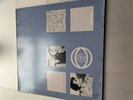 The Bionaut - Lush Life Electronica , 2xLP Harvest 1st issue, Aphex Twin , BOC