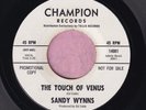 Sandy Wynns 
