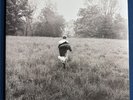 Taylor Swift Folklore Running Like Water Limited Edition 2 Vinyl LP - Silver