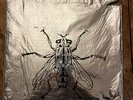 Butthole Surfers Self Titled 10