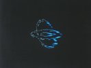 CYBOTRON - Parallel Shift - Vinyl (12