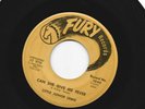 SOUL R&B ROCKERS 45 - LITTLE JUNIOR LEWIS - CAN SHE GIVE ME FEVER - HEAR - FURY