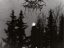 Darkthrone - Panzerfaust - LP