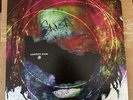Saba Signed 