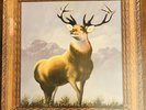 Killdozer - Twelve Point Buck, 33rpm 12