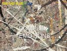 The Bad Plus - Anderson, King, Monder & Speed: Complex Emotions [New Vinyl LP]