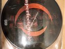 A Perfect Circle – Mer De Noms (2003) Virgin 2LP Vinyl Record Picture Disc RARE