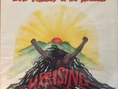 Bob Marley & the Wailers - Uprising; Vinyl ILPS 9596 Near Mint/EX 1980