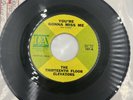 The Thirteenth Floor Elevators – You're Gonna Miss Me 7” Vinyl 45RPM 1967 Single