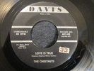 CHESTNUTS Love Is True/ It's You I Love  Doo Wop R&B Rock 45 Orig.