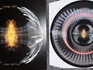Pearl Jam Dark Matter Zoetrope Blood Records Limited 831/1000 IN HAND