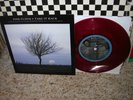 PINK FLOYD-Take It Back/Astronomy Domine-OR.OOP LTD. ED.CRANBERRY NM-/NM 45 &P/S