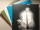 SPARKLEHORSE - BOX OF STARS BOXSET - VINYL ME PLEASE - LIMITED 1500 COPIES - NM