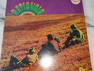 The Rationals LP Us-Garage Rock Rhythm & Blues