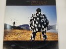 Pink Floyd Delicate Sound of Thunder 1988 Vinyl LP Album CBS Records PC2 44484