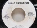 PRIVATE PRESS ROCK RIOT PROBLEMS OF LIFE/ROCK AND ROLL RIOT AUDIO DIMENSION ORIG