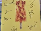 FULLY SIGNED VINYL COVER JAMES: YUMMY - LP