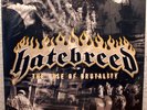 Hatebreed - The Rise Of Brutality - Vinyl, LP, 2003, Roadrunner Records