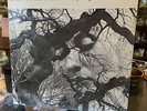 Gap Mangione Diana in the Autumn Wind LP GRC 9001