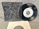 Insect Warfare at war with grindcore 7