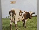 Pink Floyd Atom Heart Mother Vinyl LP 1st UK Pressing SHVL 781 A-1G B-1G -CP