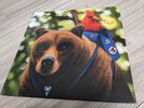 Banjo Kazooie Music Game Soundtrack RARE iam8bit Vinyl Complete n64 BK Sleeve