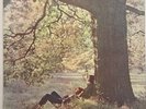 John Lennon Plastic Ono Band UK Apple LP Beatles M-/M-