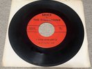 Mike & The Dimensions Little Latin Lupe Lu / Why US 1965 GARAGE VG 45 RARE