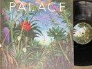 PALACE - LIFE AFTER - ORIGINAL 2019 FICTION RECORDS LP vinyl album record VG+