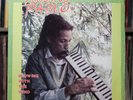 Augustus Pablo - Blowing With The Wind - JAMAICAN import 1990 Message, VG/VG+