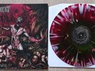 Devourment Conceived In Sewage colour Splatter Vinyl Never Played Death Metal