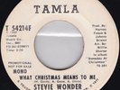 Stevie Wonder - What Christmas Means To Me (7