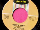 THE CADILLACS - That's Why / The Boogie Man - 45 rpm Josie 883 VG++ to Near Mint