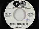 Northern Soul 45 - Marvin Gaye - You're A Wonderful One - Tamla