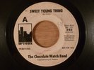 The Chocolate Watch Band Sweet Young Thing/Baby Blue Promo RARE  Garage, Psych