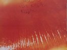 THE CURE - Kiss Me Kiss Me Kiss Me- 2x 12