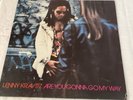 Lenny Kravitz Are You Gone Go My Way Vinyl Lp
