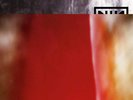 [DAMAGED] Nine Inch Nails - The Fragile NEW Sealed Vinyl