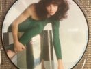 Kate Bush Abbey Road Studios Interview Picture Disc vinyl 1PD12 1986 FREE POST