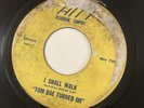 Garage Psych Fuzz 45 Tom Dae Turned On I Shall Walk HITT VG vinyl damaged label
