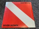 Van Halen - Diver Down -LP/Vinyl, Club Ed. Shrink, 1982 Warner Bros. BSK 3677 EX