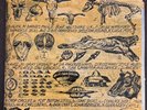 Grass Patch, Milk-Shed ‎– Field Guide To Crop Circle Activity 7