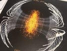 Pearl Jam Dark Matter Zoetrope Picture Disc Limited Edition Numbered 1000