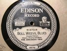 1924 John Cali Banjo BOLL WEEVIL BLUES Political Song Arkansas Trio EDISON 51373