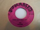 45 Rare Garage Pyramid 6877 The Avlons Mad Man's Fate & Come Back Little Girl NM