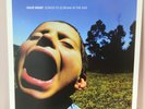 Have Heart – Songs To Scream At The Sun - Red Vinyl LP Album Repress Hardcore