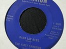 The First Garrison Mama Say Blue / Tell Me No Lies 45 Rare Garage Mod Soul
